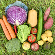 Load image into Gallery viewer, ACIEM - Large Vege Box - 8kg | Auckland Grocery Delivery Get ACIEM - Large Vege Box - 8kg delivered to your doorstep by your local Auckland grocery delivery. Shop Paddock To Pantry. Convenient online food shopping in NZ | Grocery Delivery Auckland | Grocery Delivery Nationwide | Fruit Baskets NZ | Online Food Shopping NZ Shop the Large Vege Box at Paddock to Pantry – a generous mix of fresh, seasonal vegetables delivered fast NZ-wide from our online produce store.