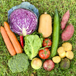 Load image into Gallery viewer, ACIEM - Vege Box - 5kg (Small) | Auckland Grocery Delivery Get ACIEM - Vege Box - 5kg (Small) delivered to your doorstep by your local Auckland grocery delivery. Shop Paddock To Pantry. Convenient online food shopping in NZ | Grocery Delivery Auckland | Grocery Delivery Nationwide | Fruit Baskets NZ | Online Food Shopping NZ Paddock To Pantry's vege box - get a premium selection of fresh vegetables delivered to your door. Get free delivery on all orders over $125.