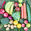 Load image into Gallery viewer, Fruit & Vege Box - IML Group | Auckland Grocery Delivery Get Fruit & Vege Box - IML Group delivered to your doorstep by your local Auckland grocery delivery. Shop Paddock To Pantry. Convenient online food shopping in NZ | Grocery Delivery Auckland | Grocery Delivery Nationwide | Fruit Baskets NZ | Online Food Shopping NZ Get the freshest, in-season fruit & vegetables delivered to your door with Paddock To Pantry's Fruit & Veg box. Auckland Grocery Delivery available 7 days!