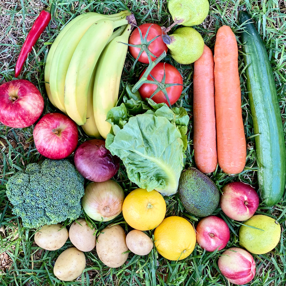 Fruit & Veg Box I Auckland Same Day & NZ Overnight Delivery