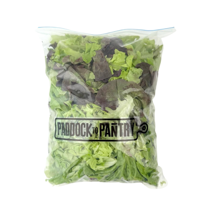 Paddock To Pantry Salad Mix 300g | Auckland Grocery Delivery Get Paddock To Pantry Salad Mix 300g delivered to your doorstep by your local Auckland grocery delivery. Shop Paddock To Pantry. Convenient online food shopping in NZ | Grocery Delivery Auckland | Grocery Delivery Nationwide | Fruit Baskets NZ | Online Food Shopping NZ Want to make an easy and delicious salad? Look no further than the Paddock to Pantry Salad Mix delivered nationwide for easy meal preparation.