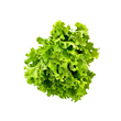 Load image into Gallery viewer, Paddock To Pantry Salad Mix 300g | Auckland Grocery Delivery Get Paddock To Pantry Salad Mix 300g delivered to your doorstep by your local Auckland grocery delivery. Shop Paddock To Pantry. Convenient online food shopping in NZ | Grocery Delivery Auckland | Grocery Delivery Nationwide | Fruit Baskets NZ | Online Food Shopping NZ Want to make an easy and delicious salad? Look no further than the Paddock to Pantry Salad Mix delivered nationwide for easy meal preparation.