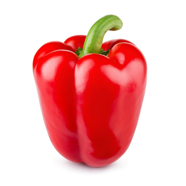 Red Capsicum | Auckland Grocery Delivery Get Red Capsicum delivered to your doorstep by your local Auckland grocery delivery. Shop Paddock To Pantry. Convenient online food shopping in NZ | Grocery Delivery Auckland | Grocery Delivery Nationwide | Fruit Baskets NZ | Online Food Shopping NZ Get this capsicum delivered with the rest of your groceries nationwide at the click of button.