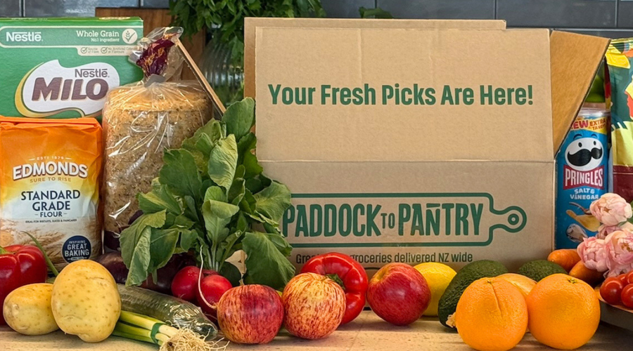 Lower Prices on the Groceries Kiwis Buy Every Day