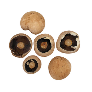 Portobello Mushrooms 250g | Auckland Grocery Delivery Get Portobello Mushrooms 250g delivered to your doorstep by your local Auckland grocery delivery. Shop Paddock To Pantry. Convenient online food shopping in NZ | Grocery Delivery Auckland | Grocery Delivery Nationwide | Fruit Baskets NZ | Online Food Shopping NZ Introducing our flavorful Portabello Mushrooms by Paddock to Pantry, locally sourced for ultimate freshness and quality. Delivered Overnight Nationwide 