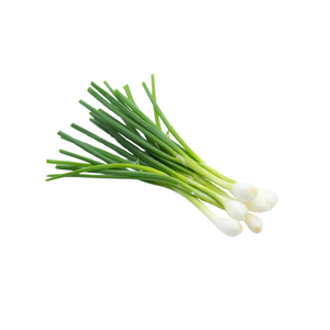 Spring Onion | Auckland Grocery Delivery Get Spring Onion delivered to your doorstep by your local Auckland grocery delivery. Shop Paddock To Pantry. Convenient online food shopping in NZ | Grocery Delivery Auckland | Grocery Delivery Nationwide | Fruit Baskets NZ | Online Food Shopping NZ Elevate your plate with our New Zealand Spring Onions! Fresh and sweet, making it a versatile ingredient. Fresh produce locally sourced from Paddock to Pantry