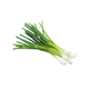 Spring Onion | Auckland Grocery Delivery Get Spring Onion delivered to your doorstep by your local Auckland grocery delivery. Shop Paddock To Pantry. Convenient online food shopping in NZ | Grocery Delivery Auckland | Grocery Delivery Nationwide | Fruit Baskets NZ | Online Food Shopping NZ Elevate your plate with our New Zealand Spring Onions! Fresh and sweet, making it a versatile ingredient. Fresh produce sourced from Paddock to Pantry