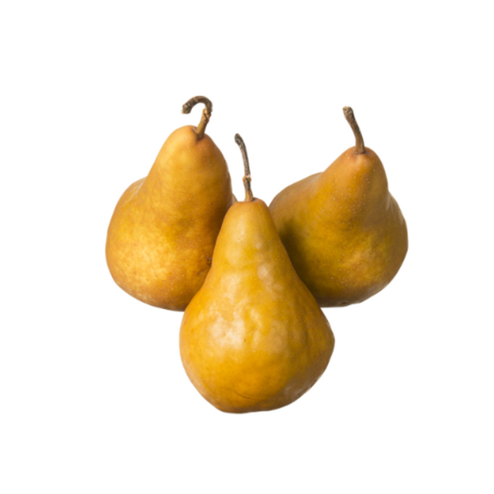 Pear Beurre Bosc