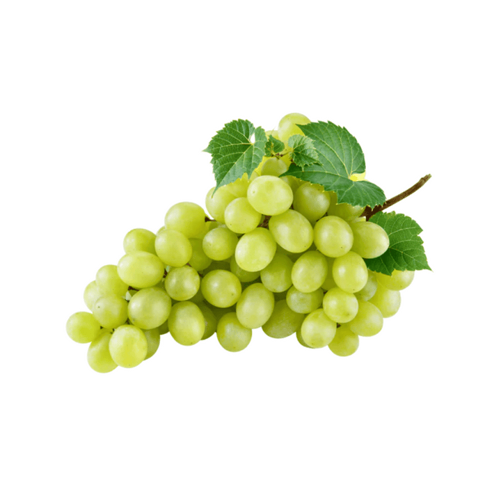 Green Grapes | Auckland Grocery Delivery Get Green Grapes delivered to your doorstep by your local Auckland grocery delivery. Shop Paddock To Pantry. Convenient online food shopping in NZ | Grocery Delivery Auckland | Grocery Delivery Nationwide | Fruit Baskets NZ | Online Food Shopping NZ Dole Green Grapes 500g Delicious green grapes at competitively low prices. Get delivered today with Paddock to Pantry.