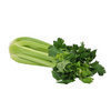 Celery Whole | Auckland Grocery Delivery Get Celery Whole delivered to your doorstep by your local Auckland grocery delivery. Shop Paddock To Pantry. Convenient online food shopping in NZ | Grocery Delivery Auckland | Grocery Delivery Nationwide | Fruit Baskets NZ | Online Food Shopping NZ Fresh whole celery, crisp and nutritious. Perfect for salads, snacks, or juicing. Shop now at Paddock to Pantry for fast NZ-wide delivery.