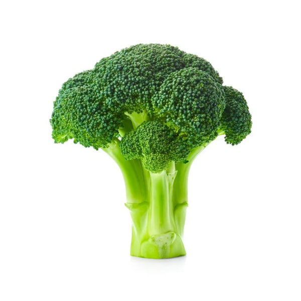Broccoli Broccoli is a popular vegetable as it is versatile with the stalks, buds and most of the leaves being edible. Check out broccoli, and more at Paddock to Pantry 