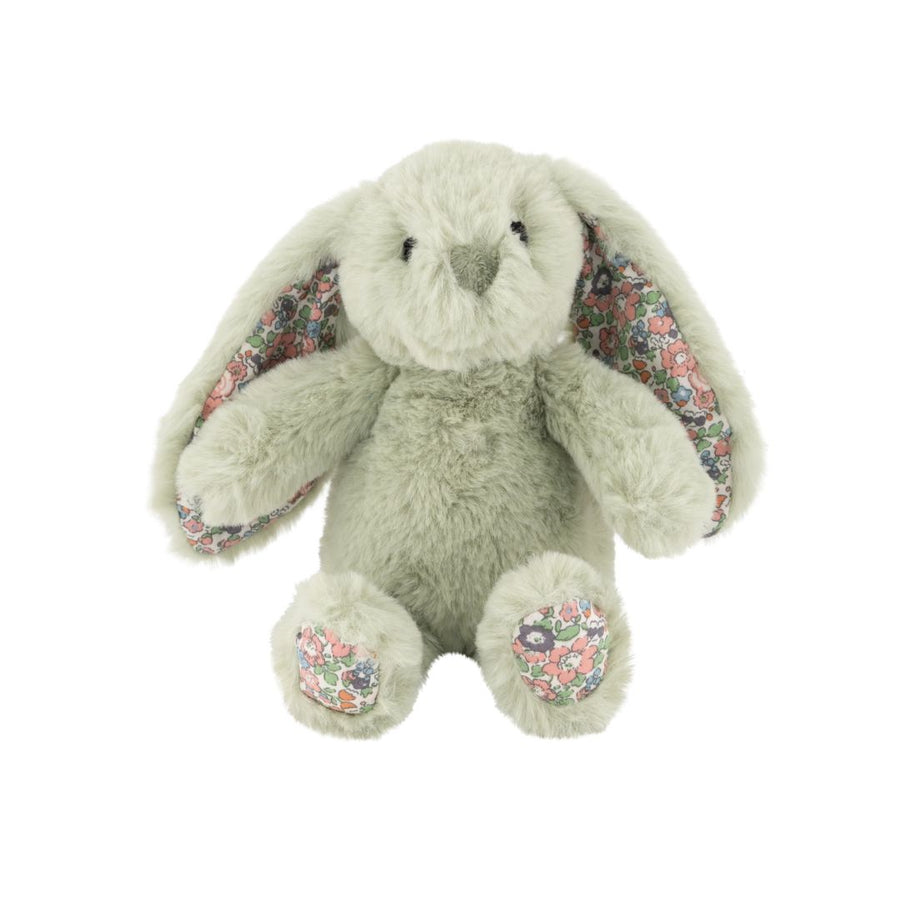 Soft Toy Bunny - Green | Auckland Grocery Delivery Get Soft Toy Bunny - Green delivered to your doorstep by your local Auckland grocery delivery. Shop Paddock To Pantry. Convenient online food shopping in NZ | Grocery Delivery Auckland | Grocery Delivery Nationwide | Fruit Baskets NZ | Online Food Shopping NZ Cute pink soft toy bunny, perfect for gifting, hampers, or kids. Shop soft toys online with NZ-wide delivery.
