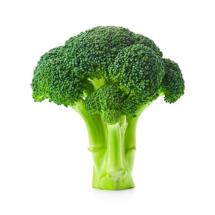 Broccoli | Auckland Grocery Delivery Get Broccoli delivered to your doorstep by your local Auckland grocery delivery. Shop Paddock To Pantry. Convenient online food shopping in NZ | Grocery Delivery Auckland | Grocery Delivery Nationwide | Fruit Baskets NZ | Online Food Shopping NZ Broccoli is a popular vegetable as it is versatile with the stalks, buds and most of the leaves being edible. Check out broccoli, and more at Paddock to Pantry 