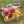 Load image into Gallery viewer, A Delightful Day Fruit Basket - Gluten Free | Auckland Grocery Delivery Get A Delightful Day Fruit Basket - Gluten Free delivered to your doorstep by your local Auckland grocery delivery. Shop Paddock To Pantry. Convenient online food shopping in NZ | Grocery Delivery Auckland | Grocery Delivery Nationwide | Fruit Baskets NZ | Online Food Shopping NZ Get a gift basket that&#39;s suitable for those that are Gluten Free. This fruit basket is filled with seasonal fruit, fresh flowers and Gluten Free treats.
