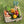 Load image into Gallery viewer, Vege Basket | Auckland Grocery Delivery Get Vege Basket delivered to your doorstep by your local Auckland grocery delivery. Shop Paddock To Pantry. Convenient online food shopping in NZ | Grocery Delivery Auckland | Grocery Delivery Nationwide | Fruit Baskets NZ | Online Food Shopping NZ Vegetables delivered Auckland Wide 7 Days a week. Get your groceries online in NZ &amp; take the stress out of shopping. We cater to speciality diet groceries including Keto, Vegan &amp; Gluten Free. Paddock To Pantry deliver groce
