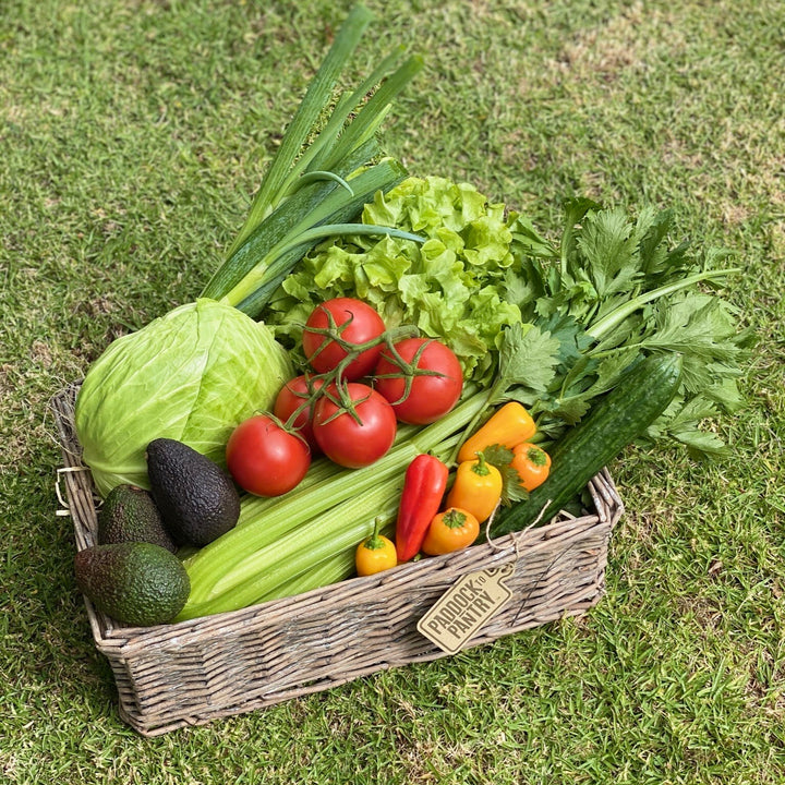 Green Goodness Vegetable Basket | Auckland Grocery Delivery Get Green Goodness Vegetable Basket delivered to your doorstep by your local Auckland grocery delivery. Shop Paddock To Pantry. Convenient online food shopping in NZ | Grocery Delivery Auckland | Grocery Delivery Nationwide | Fruit Baskets NZ | Online Food Shopping NZ Get delicious Green Vegetables delivered to your door in Auckland today. 
Same Day delivery 7 days a week. We cater to speciality diets including Keto, Vegan and Gluten Free. Get your