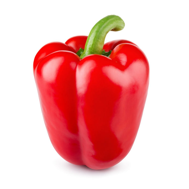 Capsicum Red | Auckland Grocery Delivery Get Capsicum Red delivered to your doorstep by your local Auckland grocery delivery. Shop Paddock To Pantry. Convenient online food shopping in NZ | Grocery Delivery Auckland | Grocery Delivery Nationwide | Fruit Baskets NZ | Online Food Shopping NZ Get this capsicum delivered with the rest of your groceries nationwide at the click of button, free delivery for orders over $125